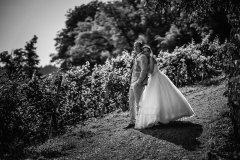 03082018-Hochzeitsfotograf-Offenburg-0020.jpg