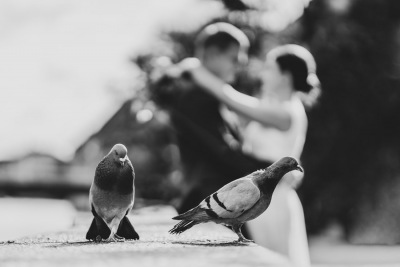 06062019-Hochzeitsfotograf-0001.jpg